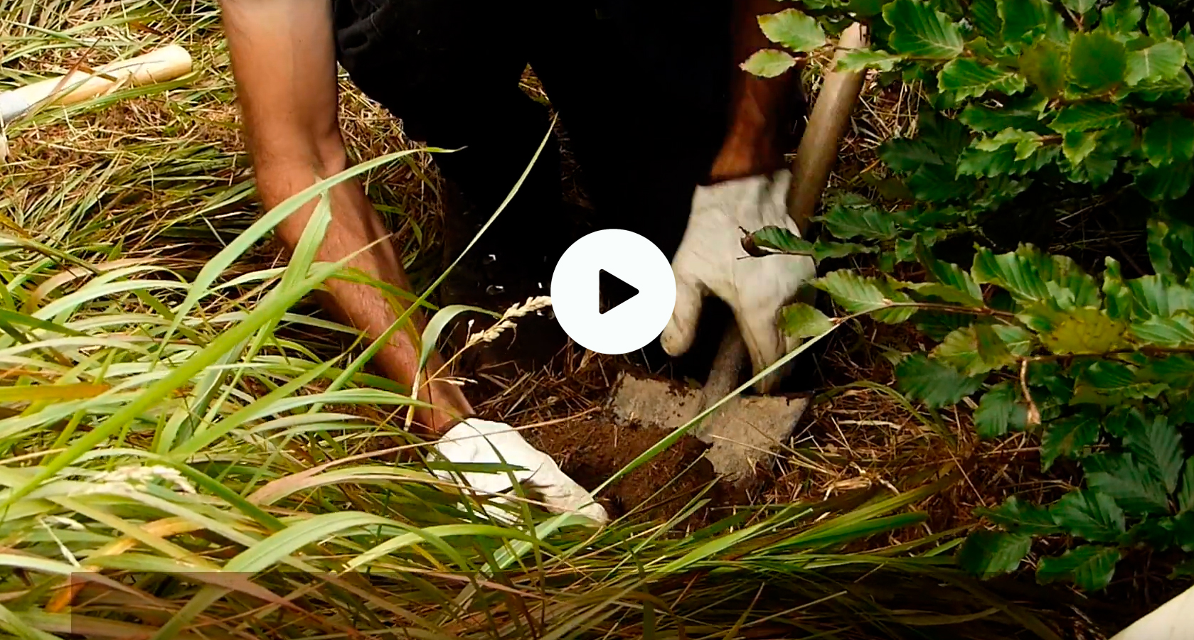 Film documental sobre un proyecto diseñado y desarrollado en la peña de Anboto