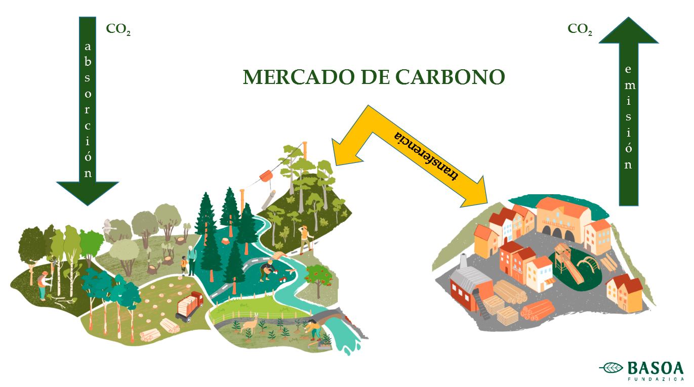 mercado de carbono